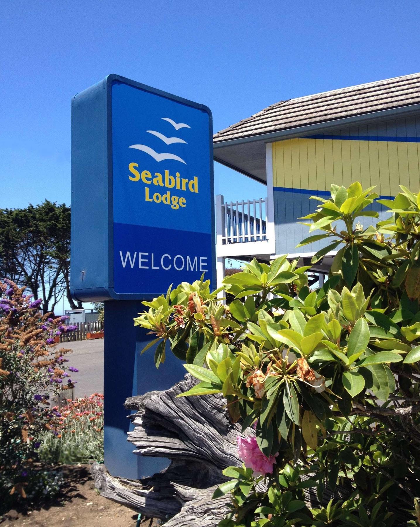 Seabird Lodge Форт-Брэгг Экстерьер фото